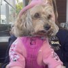 Sammie C.